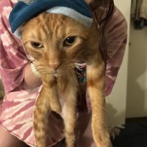 Meet your Posher, Rylee